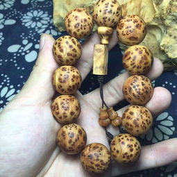 精品太行崖柏爆满瘤疤长成这样