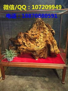 供应崖柏摆件 崖柏根雕鉴别 黄金樟根雕制作