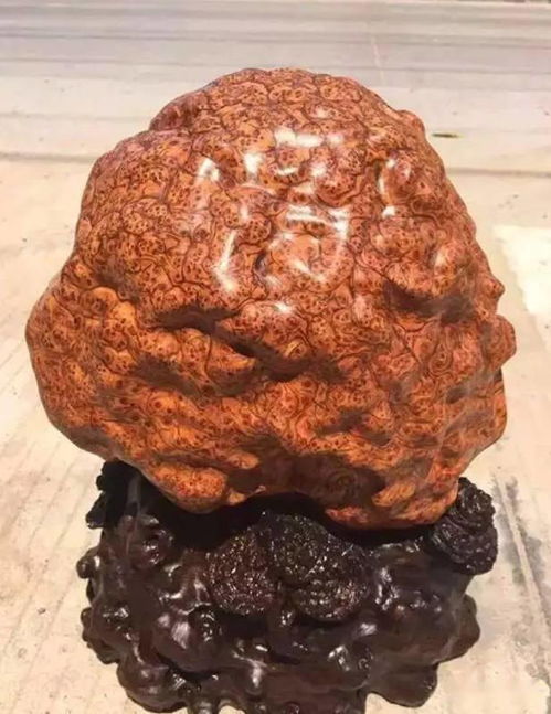 崖柏极品爆满瘤疤料,真是美的辣眼睛