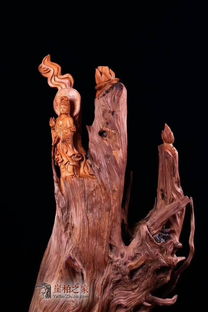 崖柏 滴水观音 意境摆件工艺品 背景完美雕工细腻