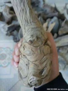 上拍一个精品崖柏把件 石来运转