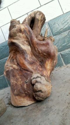 回复:大量收购山柏。石柏。崖柏