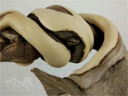 精品崖柏扭转双色料作品欣赏