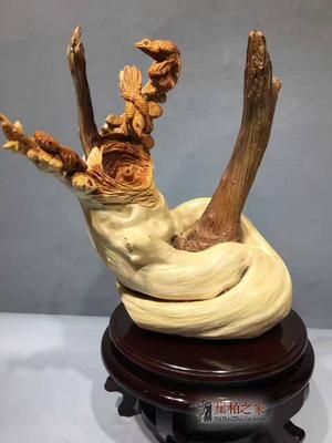 正宗崖柏陀陀双色老料根艺《全家福》天赐精品良木