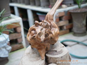 精品自然风化崖柏动物摆件