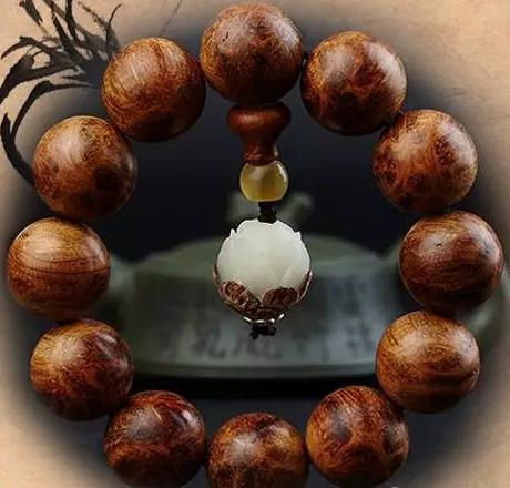 别疏忽大意了 崖柏各品类需要这样保养