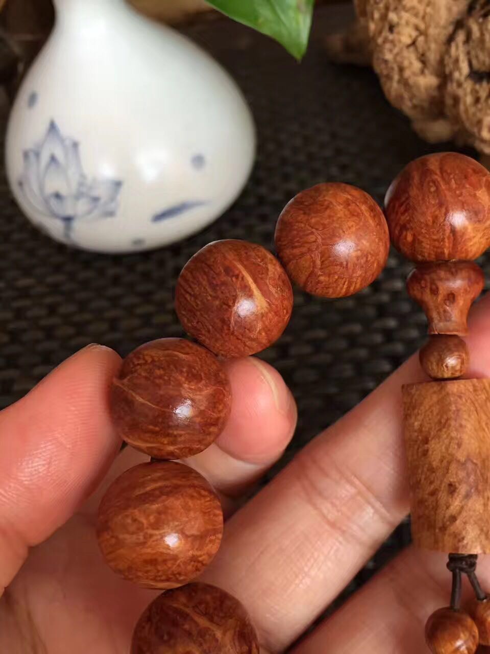 崖柏手串:藏友热捧的蚂蚁腿,是如何形成的