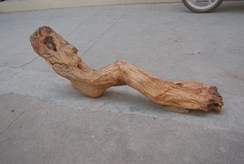 稀世臻品崖柏闻达天下(组图)_网易新闻中心