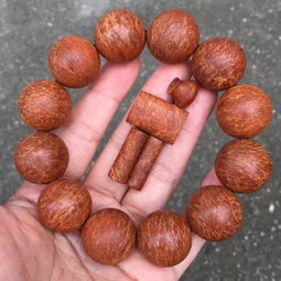 黑道大哥抢崖柏召集百名小弟,引起各大媒体关注