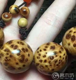 精品太行崖柏满瘤疤黄金底手串