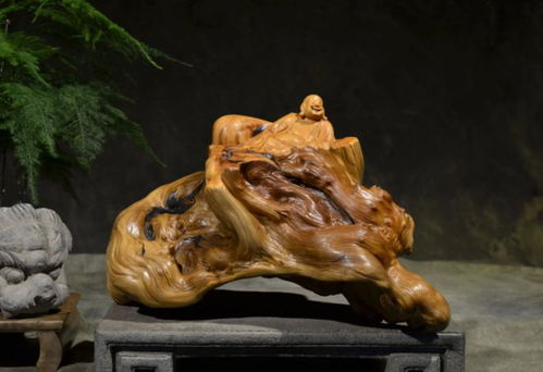 2010年,山西男子为收藏崖柏卖房,11年后一块木料拍卖出38万