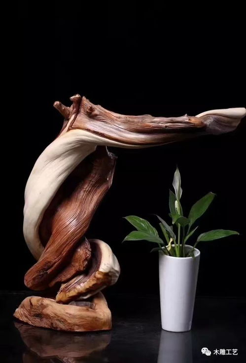 最值得收藏的6种崖柏,你有几种