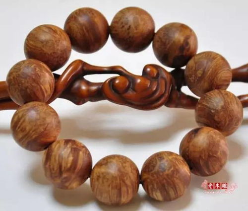 什么样的崖柏与犀牛有99 的相似度