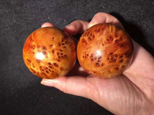 川料崖柏保健球,是把玩件,更是养生佳品