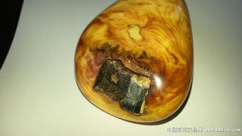 上拍一个精品崖柏把件 石来运转