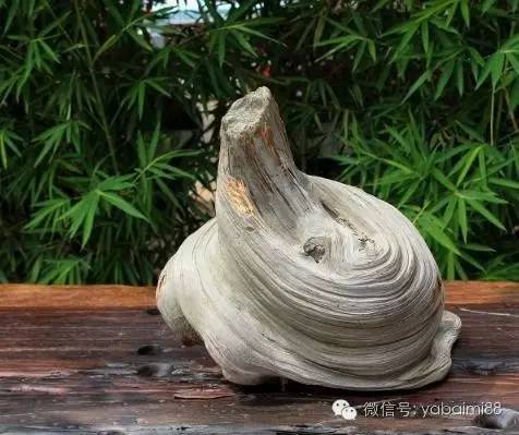 崖柏 木质文玩中的未来王者