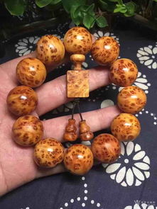 太行崖柏满瘤精品 雕刻精湛的自然奇观