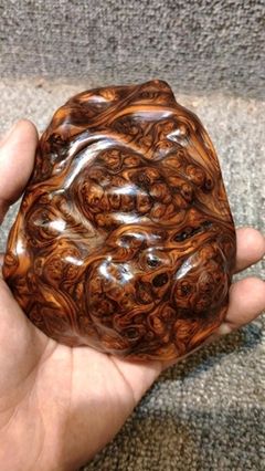 崖柏的珍贵性 揭示6种只有专业玩家才能欣赏的崖柏