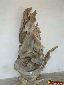 崖柏精品 自然造化的艺术瑰宝与鉴赏之道