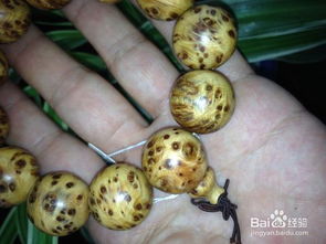 地盘玩崖柏手串的正确方法