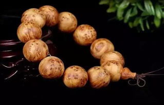 辨别崖柏价值的方法,你知道吗