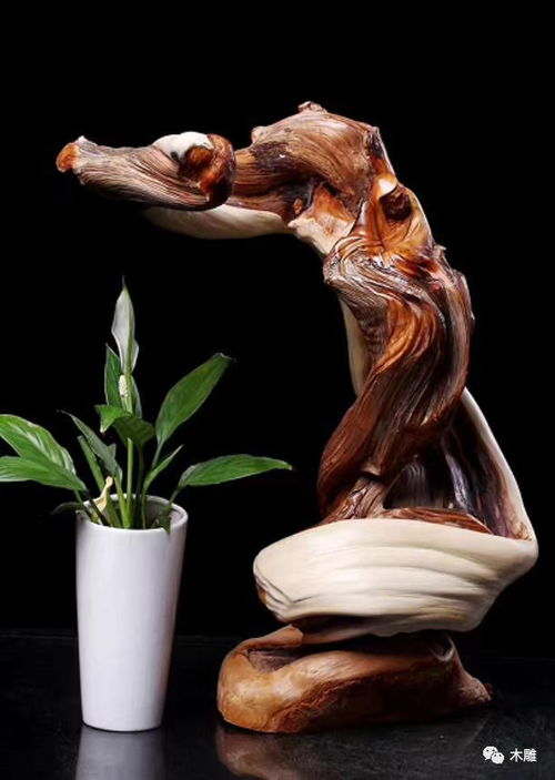 崖柏臻品盛宴,遇上了千万别错过 高清大图