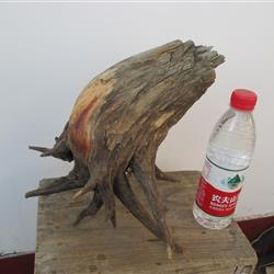 崖柏毛料精品3.1斤