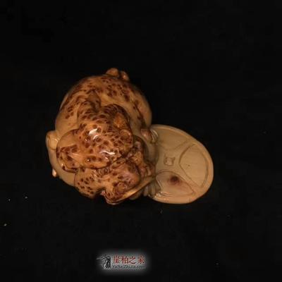 正宗崖柏太行老料 满瘤貔貅把件欣赏