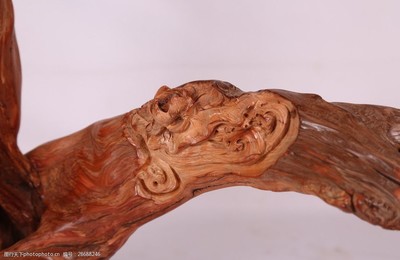 崖柏——峭壁上的生命图腾